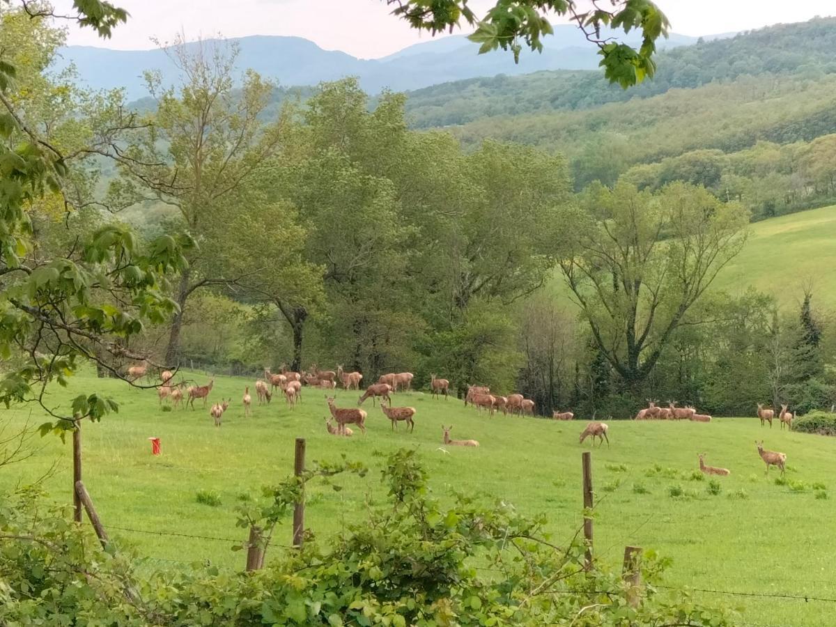 La Casetta Di Bruno Sul Passo Della Futa Traversa Eksteriør billede